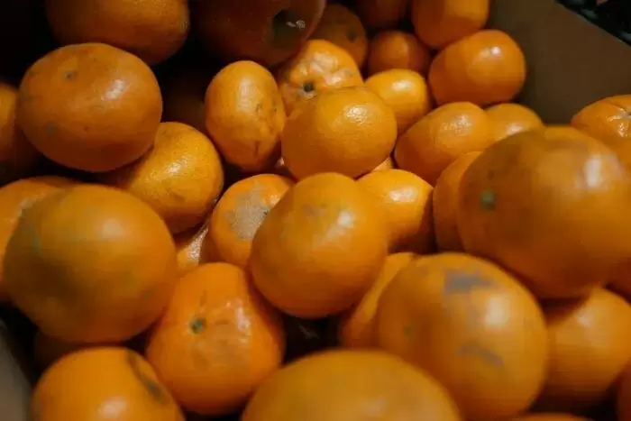 Почему мандарины дешевеют, а лимоны становятся роскошью: разбор актуальных трендов