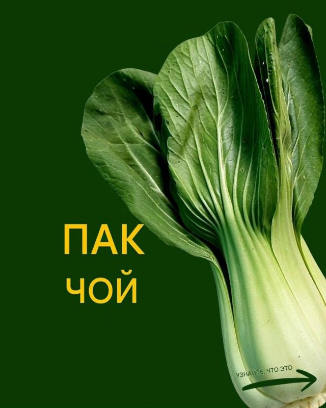 ���-���: ������� ������� ��� ����������� �����