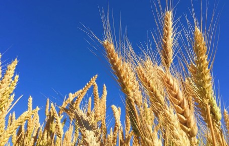 ����������� �� �������: ��� �������� � �������������