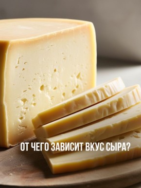 ������� ���������� ����: ��� �������� �������� ����� � �������