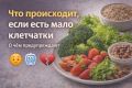 Как поддержать здоровье кишечника: советы для зрелых