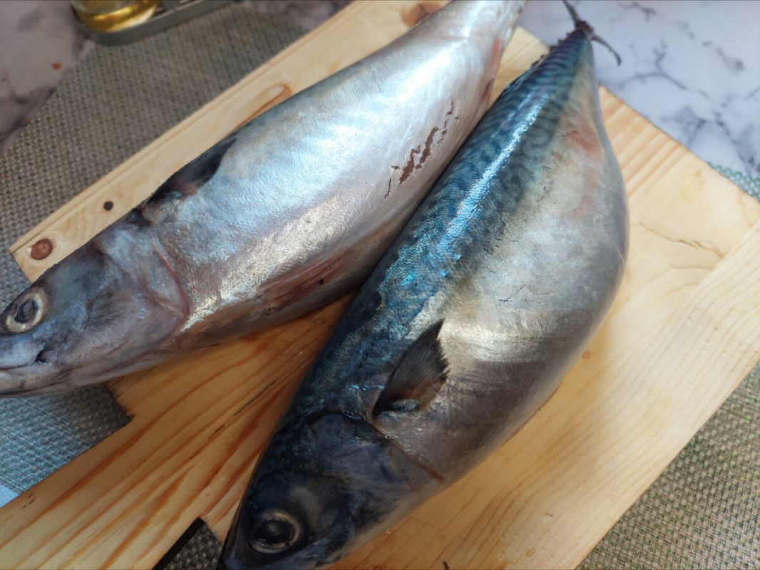 Секреты свежей скумбрии: как просто приготовить вкуснейшую шаурму из морепродуктов